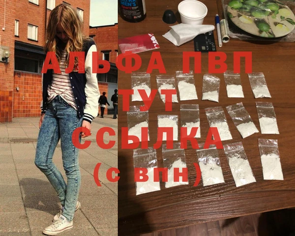 стаф Кинешма