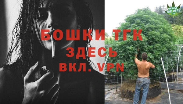 стаф Кинешма