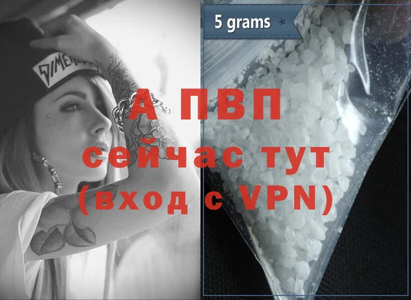 стаф Кинешма