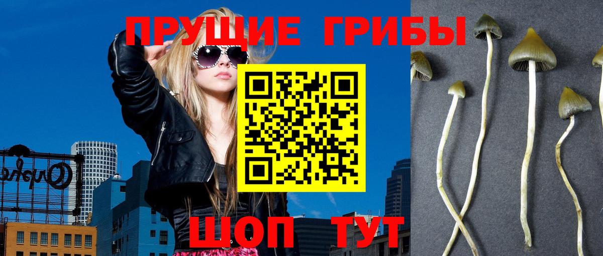 Псилоцибиновые грибы ЛСД Старый Оскол