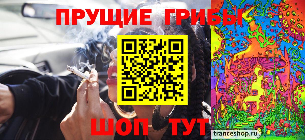 Псилоцибиновые грибы мицелий  как найти закладки  Старый Оскол  Вход с VPN 